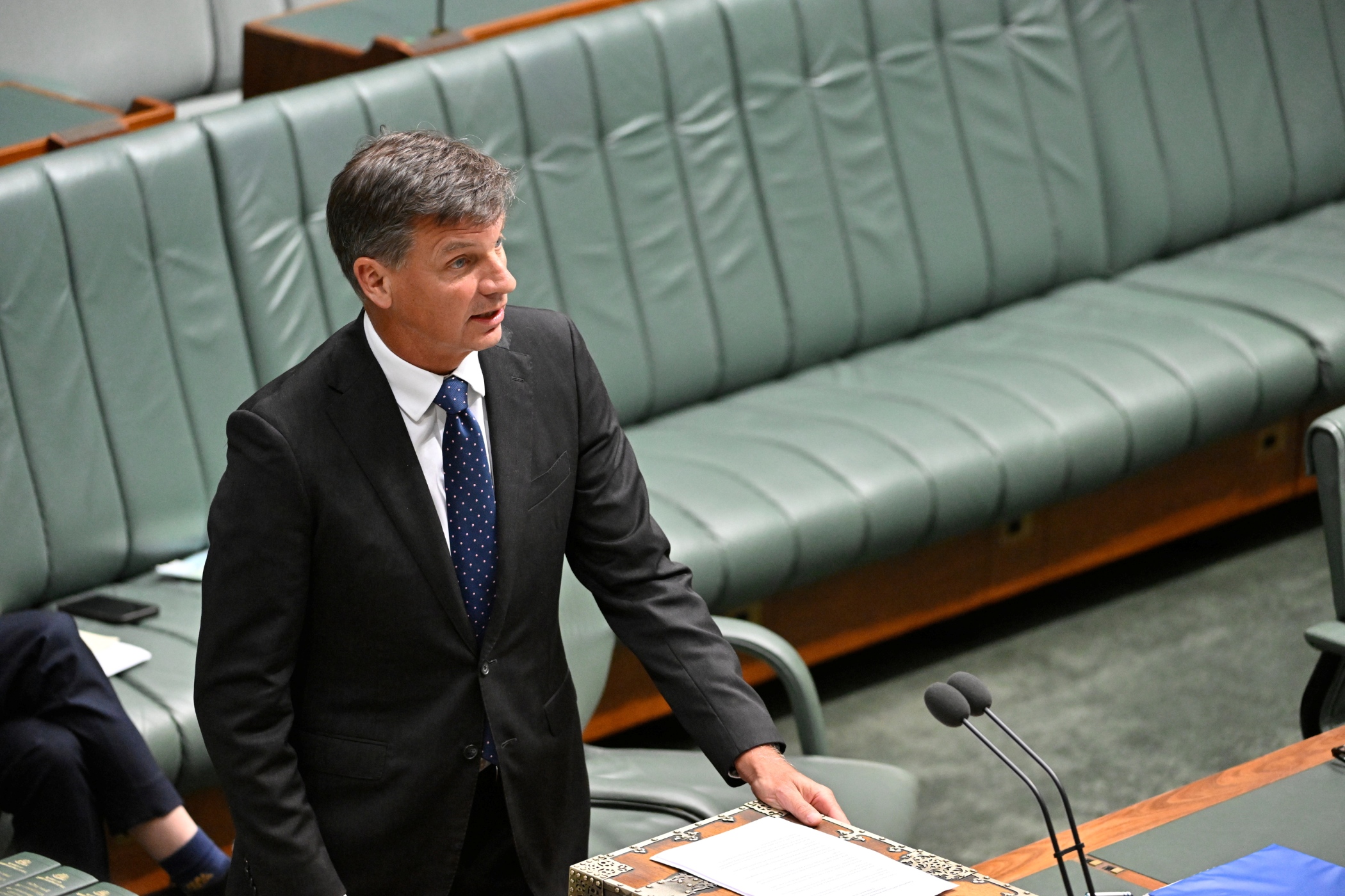 The Leader of the Opposition in the House of Representatives