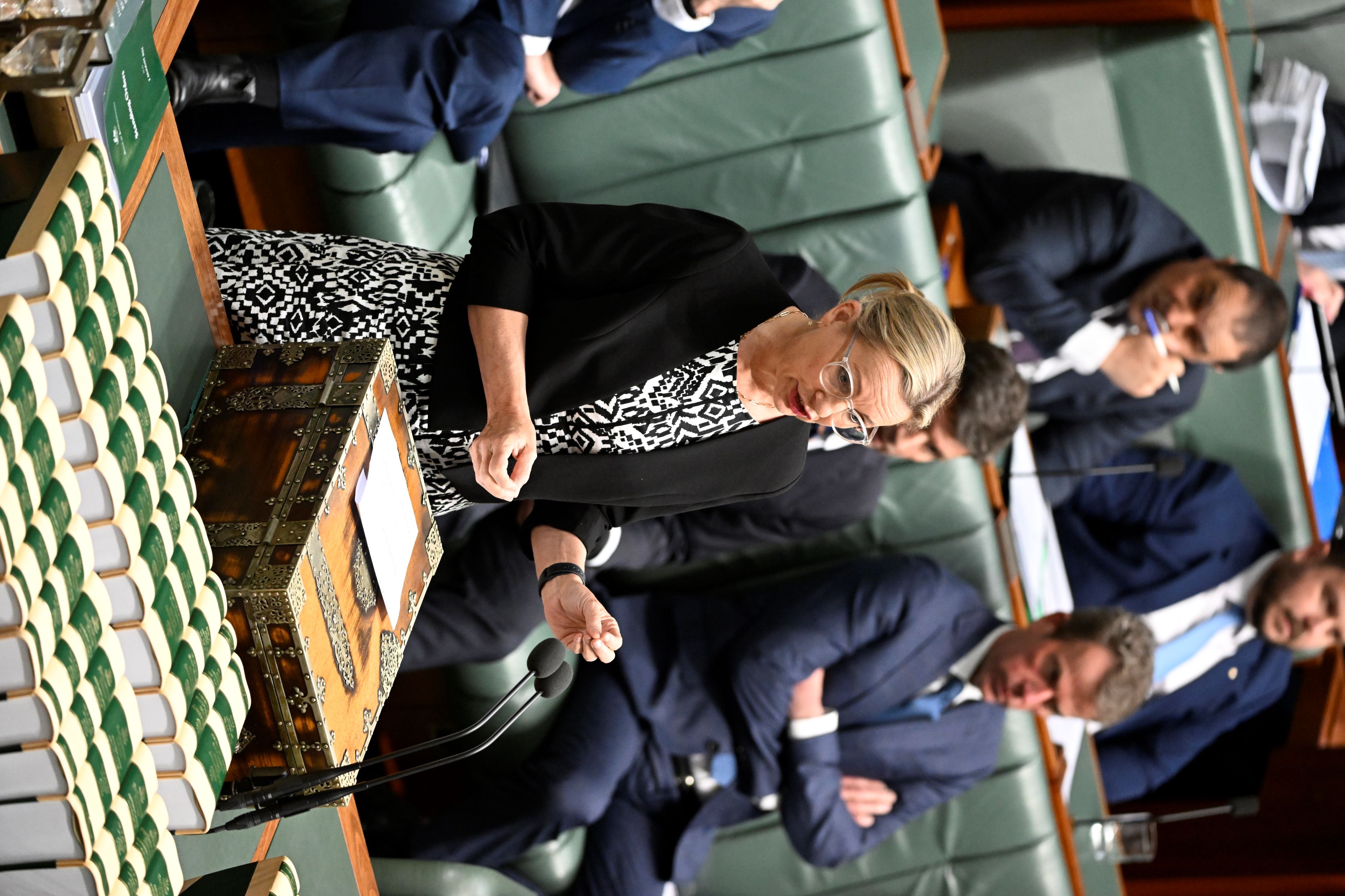 The Leader of the Opposition in the House of Representatives