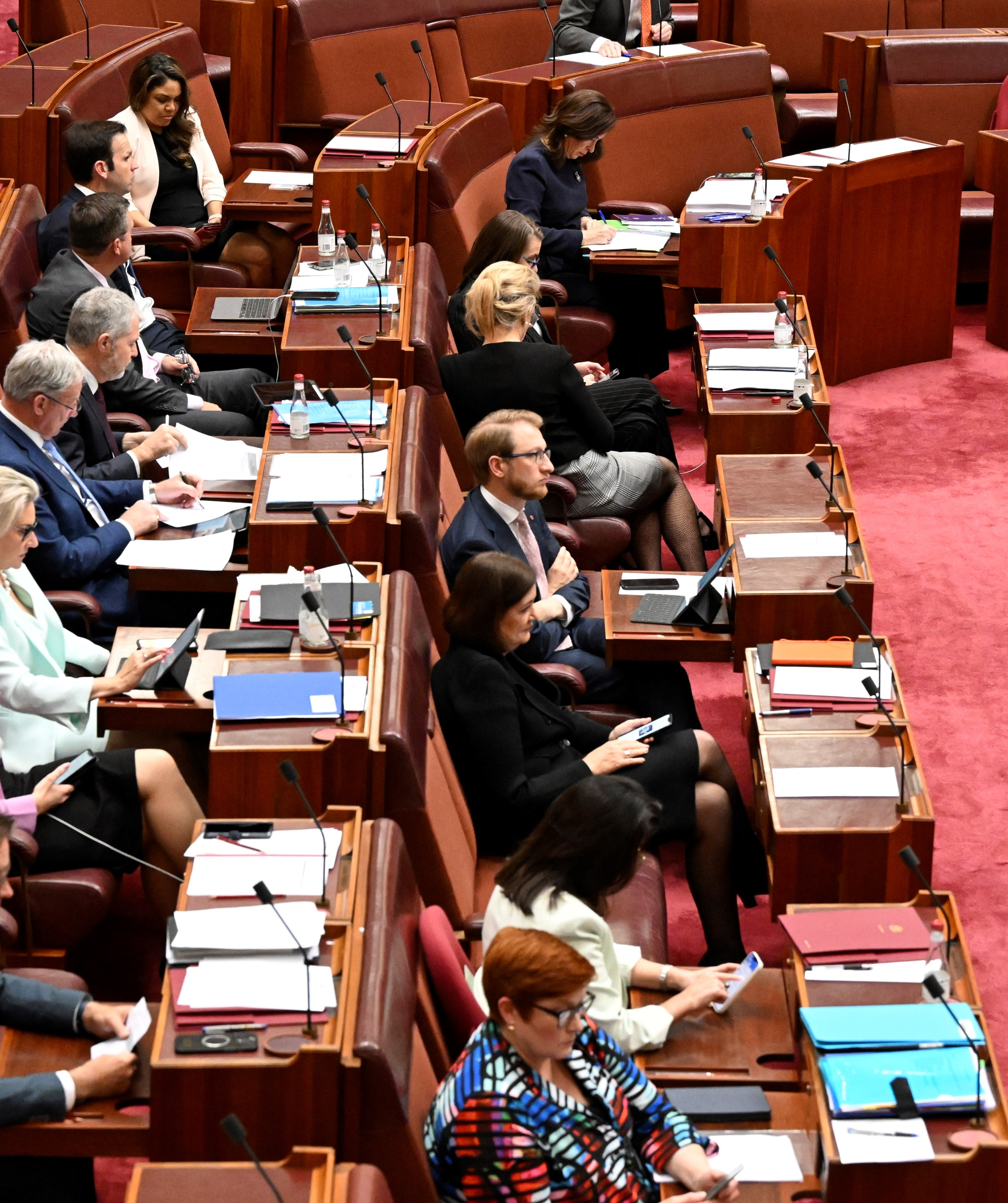 Shadow ministers in the Senate